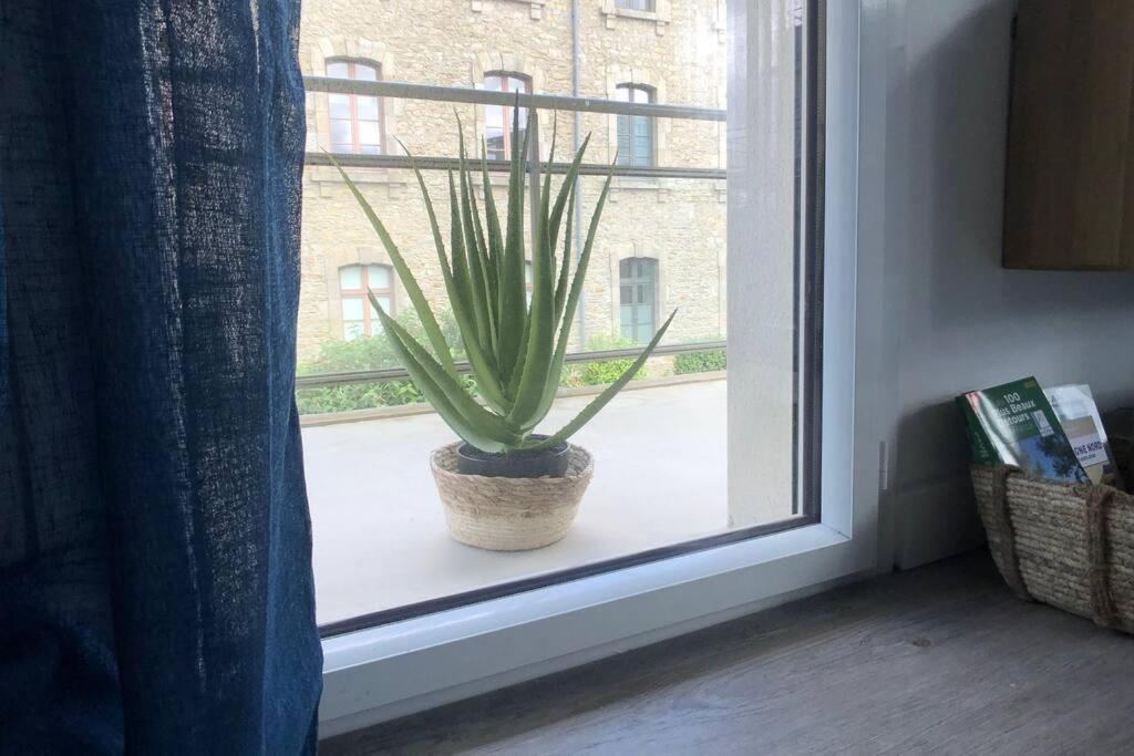 Appartement, Confort, Parking, Terrasse دينان المظهر الخارجي الصورة